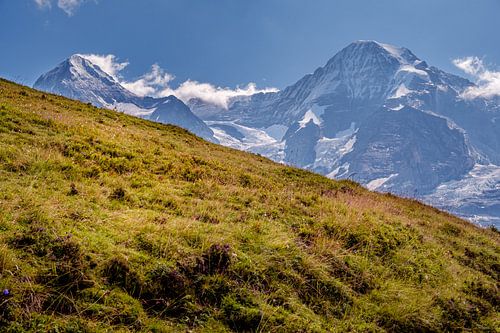 Alpine meadow with Mönch and Eiger in the background
