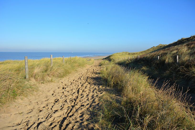 Paysage de dunes près de La Haye par My Footprints
