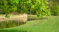 Parkzicht