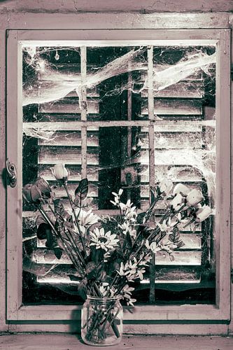 Oud raam met bloemen