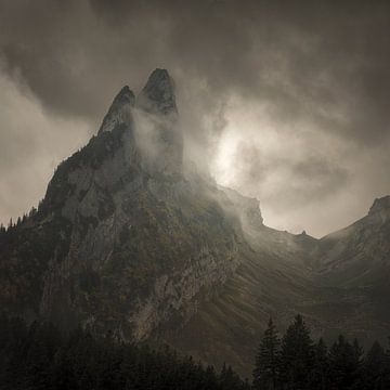 The Sombre Mountain van Daniel Laan