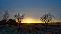 Ondergaande zon op de Asselse heide