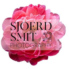 Sjoerd Smit profielfoto