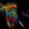 Der Regenbogenelefant von De nieuwe meester