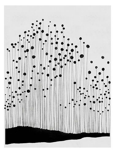 Abstract landschap in zwart-wit