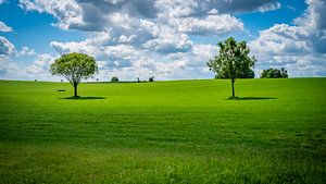Zuid-Limburg Bliss – Une ode néerlandaise à cet horizon emblématique