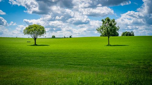South Limburg Bliss – A Dutch tribute to the iconic skyline