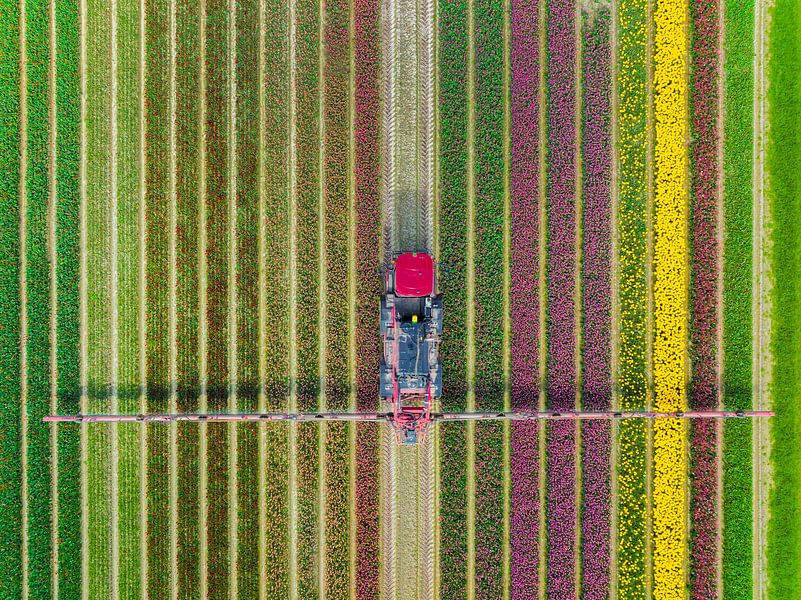 Landbouwonkruidspuiter in een tulpenveld in het voorjaar van Sjoerd van der Wal Fotografie