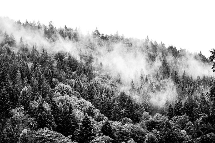Zwarte woud in Duitsland, mist in zwart/wit van Ratna Bosch