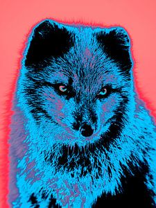 Snow fox pop art by Mad Dog Art