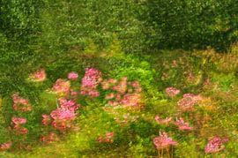 FRÜHLING 12 von Miroslav Ptacek