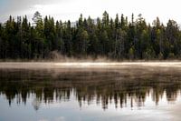 Misty Morning