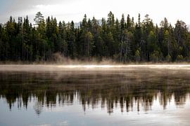 Misty Morning by Albert Beukhof