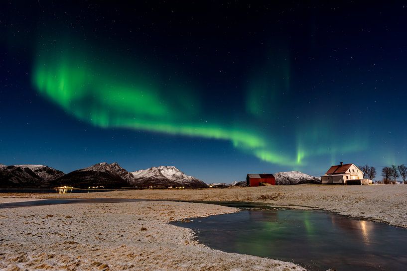 Aurora Borealis op Langøya, Noorwegen von Patricia Dhont