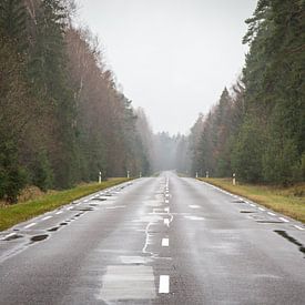 Road through the woods in Lithuania by Julian Buijzen
