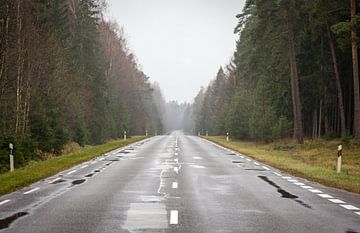 Route à travers les forêts en Lituanie