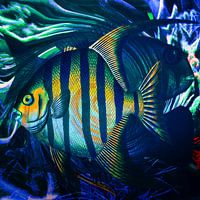 Three abstract fish right
