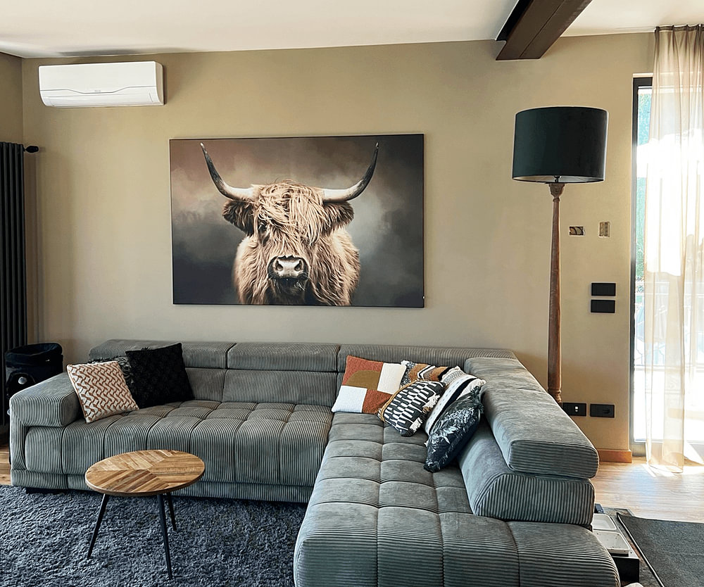 Scottish Highland Cow, by Diana van Tankeren