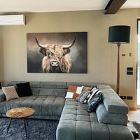 Klantfoto: Schotse Hooglander van Diana van Tankeren, als ArtFrame