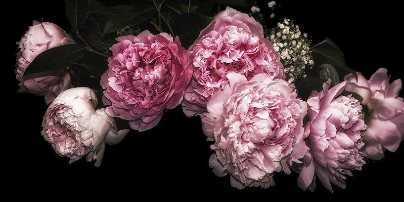 Peonies - Soft Elegance by Marlika Art