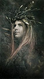 Sakura by Mark Isarin | Fotografie