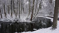 Sneeuwseizoen, ja het is winter. van fotograaf chaimaa thumbnail