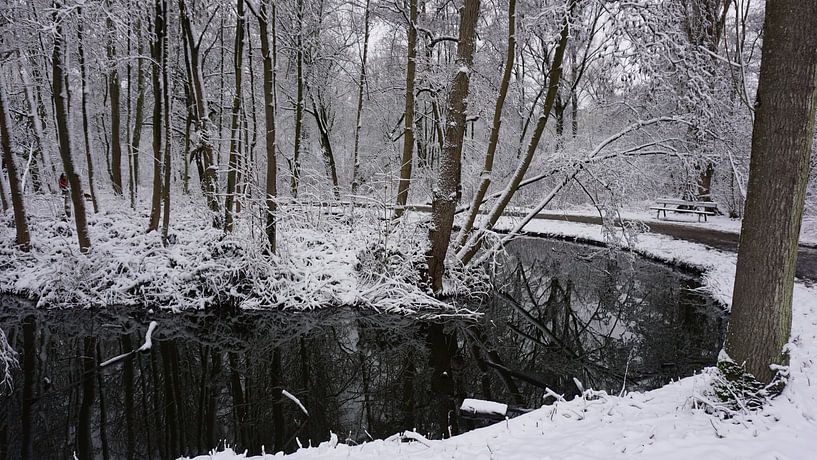Sneeuwseizoen, ja het is winter. van fotograaf chaimaa