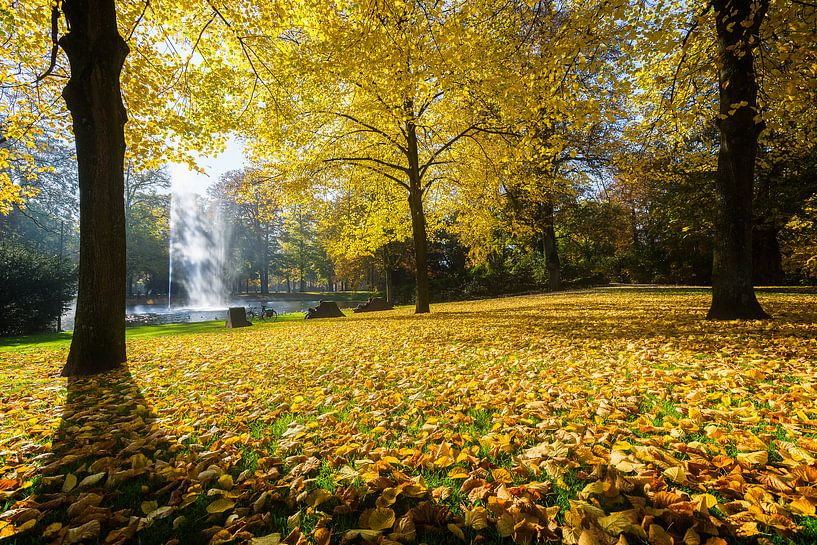 Herfst in Breda Park Valkenberg van JPWFoto