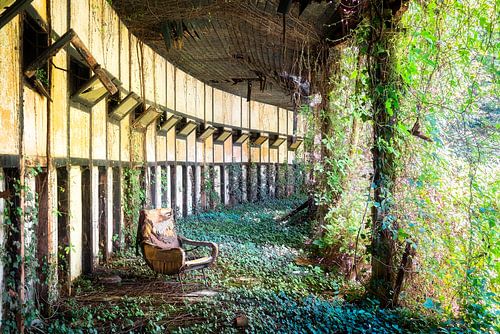Chaise abandonnée entre les plantes.