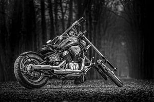 the Easy Rider