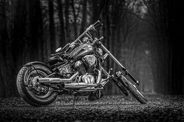 the Easy Rider sur Wilfred Chevalking