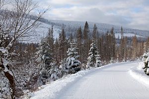 Winterlandschaft im Harz
