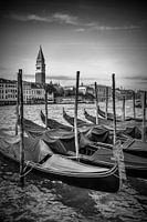 VENICE Grand Canal and St Mark's Campanile black/white