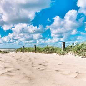 Callantsoog beach entrance in summer by eric van der eijk