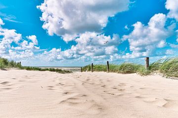 Callantsoog beach entrance in summer by eric van der eijk