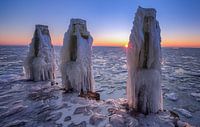 Winter in Nederland van Photo Wall Decoration thumbnail