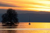 Sunset on Swiss lake with sailboat