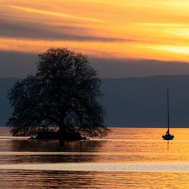 Zonsondergang aan Zwitsers meer met zeilboot van Pascal Sunday