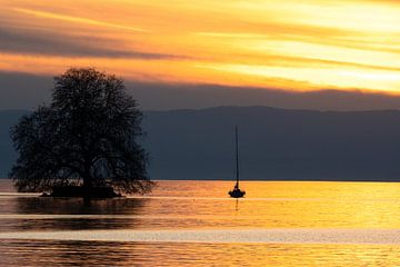 Sunset on Swiss lake with sailboat by Pascal Sunday