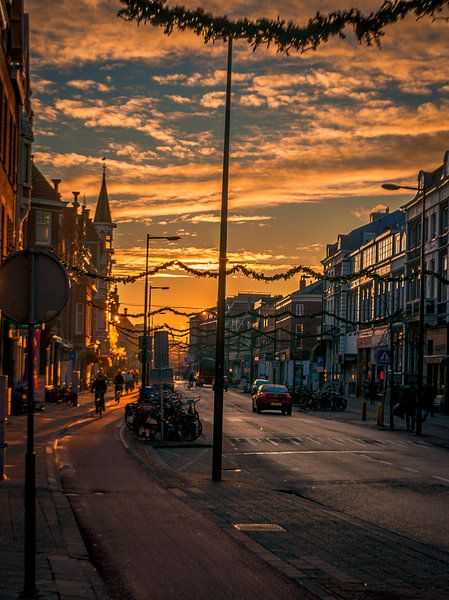 Nachtegaalstraat Utrecht. van Robin Pics (verliefd op Utrecht)