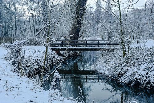 Winterse rust bij de brug in het Rivierenhof