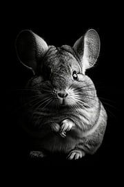 Chinchilla von Poster Art Shop