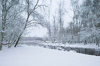 Broekpolder Vlaardingen in the snow