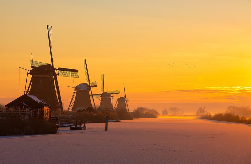 Windmühlen am Wintermorgen (2) von Rob Wareman Fotografie