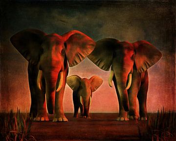 Règne animal –  Trois éléphants vous regardent droit dans les yeux