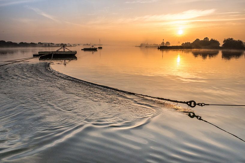 Vulture ferry at ferry on the Lower Rhine in the Betuwe by Moetwil en van Dijk - Fotografie