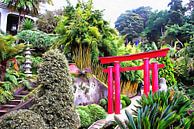 Oriental Gardens Madeira 2 by Dorothy Berry-Lound thumbnail