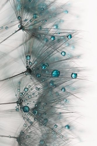 Abstract turquoise en grijs: Een lijnenspel uit de natuur met druppels (verticaal)