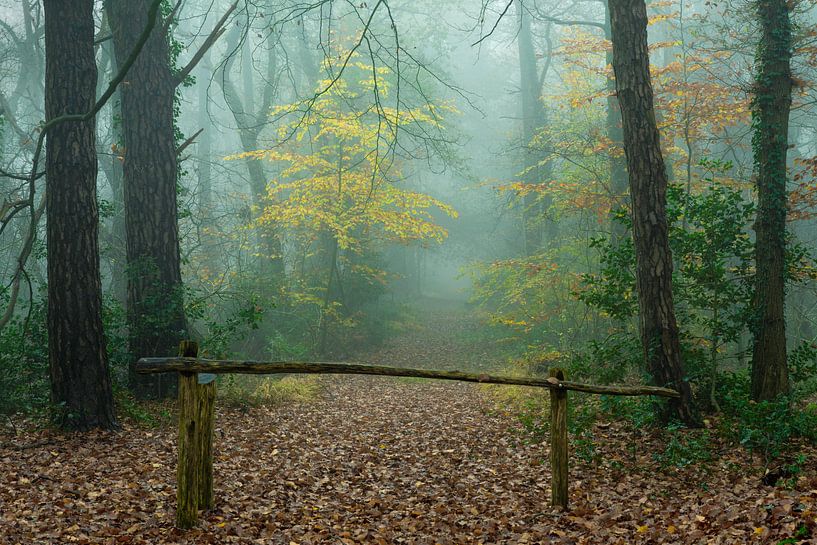 Zaun mit Pfad im nebligen Herbstwald von Peter Bolman