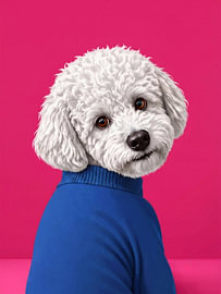 Paws & Pullovers - the Poodle van Marja van den Hurk